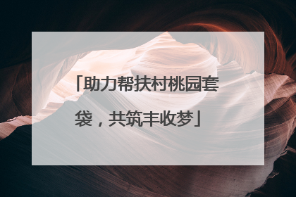 助力帮扶村桃园套袋，共筑丰收梦